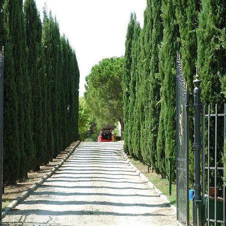 Villa Panconesi Montespertoli Extérieur photo
